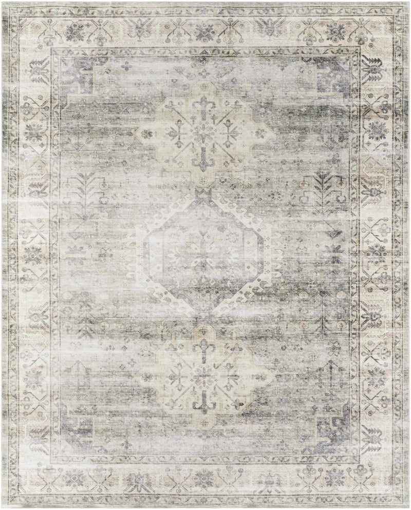 Laran Sage Distressed Washable Area Rug - Clearance by Boutique Rugs