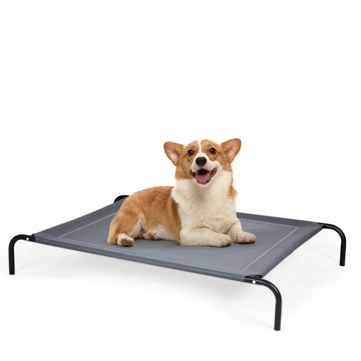 Large Indoor Outdoor Camping Steel Frame Elevated Pet Cot Mat by DirectDeals