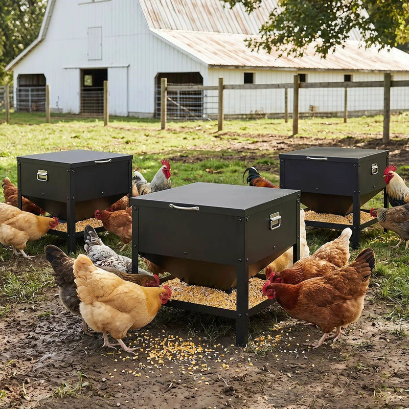 Large Capacity Chicken Feeder with Openable Lid by DirectDeals