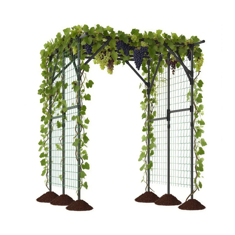 Large Garden Arch Trellis for Climbing Plants Outdoor Grape Vine Support-Black by DirectDeals