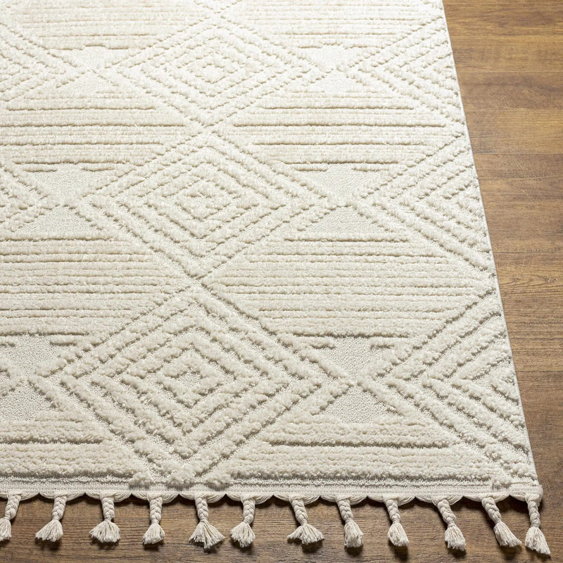 Manyas 3D Bone Area Rug with Tassels - Clearance by Boutique Rugs