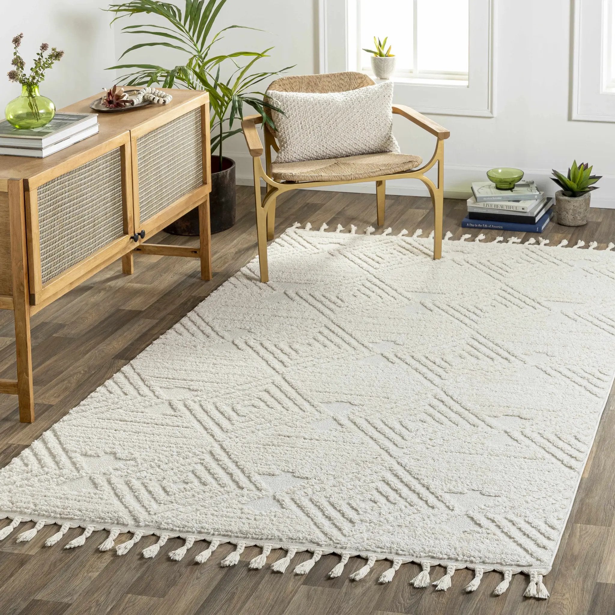Manyas 3D Bone Area Rug with Tassels - Clearance by Boutique Rugs
