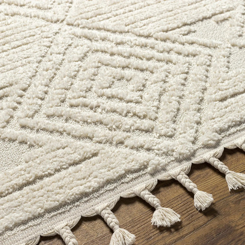 Manyas 3D Bone Area Rug with Tassels - Clearance by Boutique Rugs