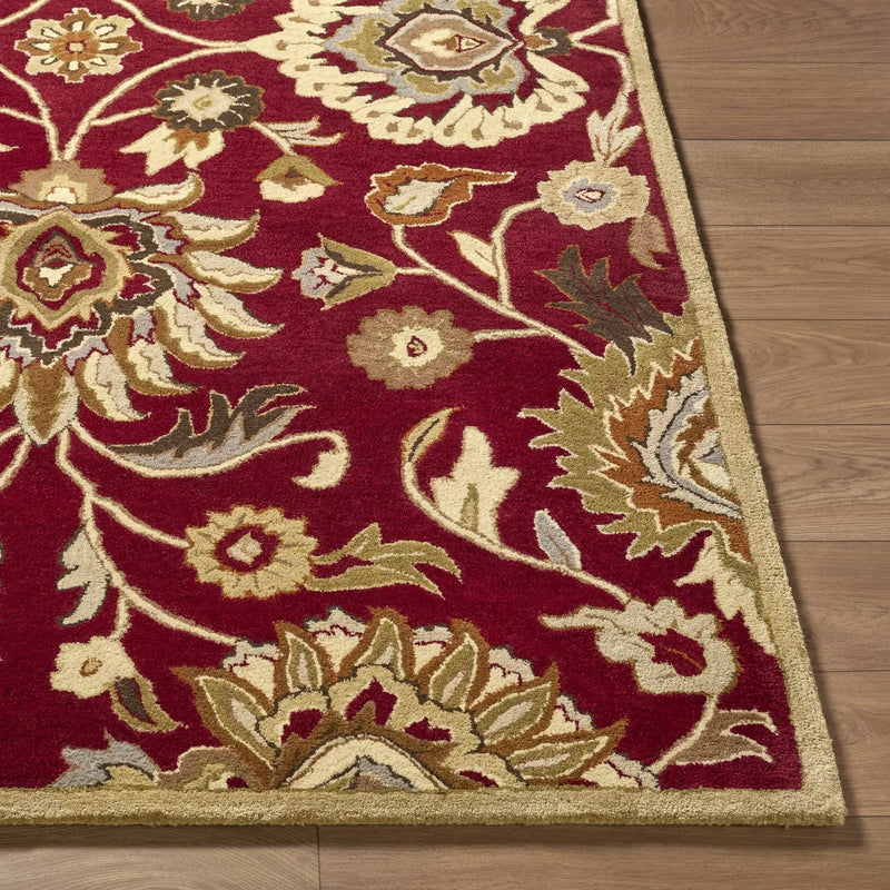 Conesus Red 1061 Hand Tufted Wool Rug by Boutique Rugs