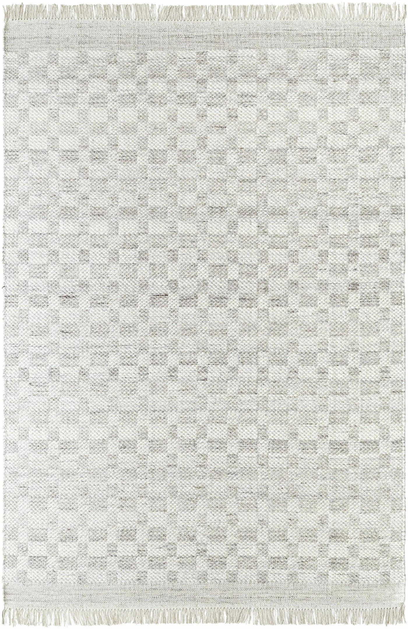 Meira Medium Gray Area Rug - Clearance by Boutique Rugs