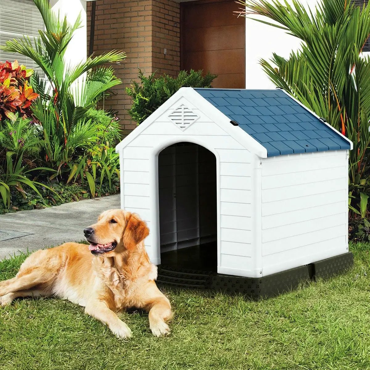 Medium size Dog House Outdoor White Blue Plastic with Elevated Floor by HomePacific