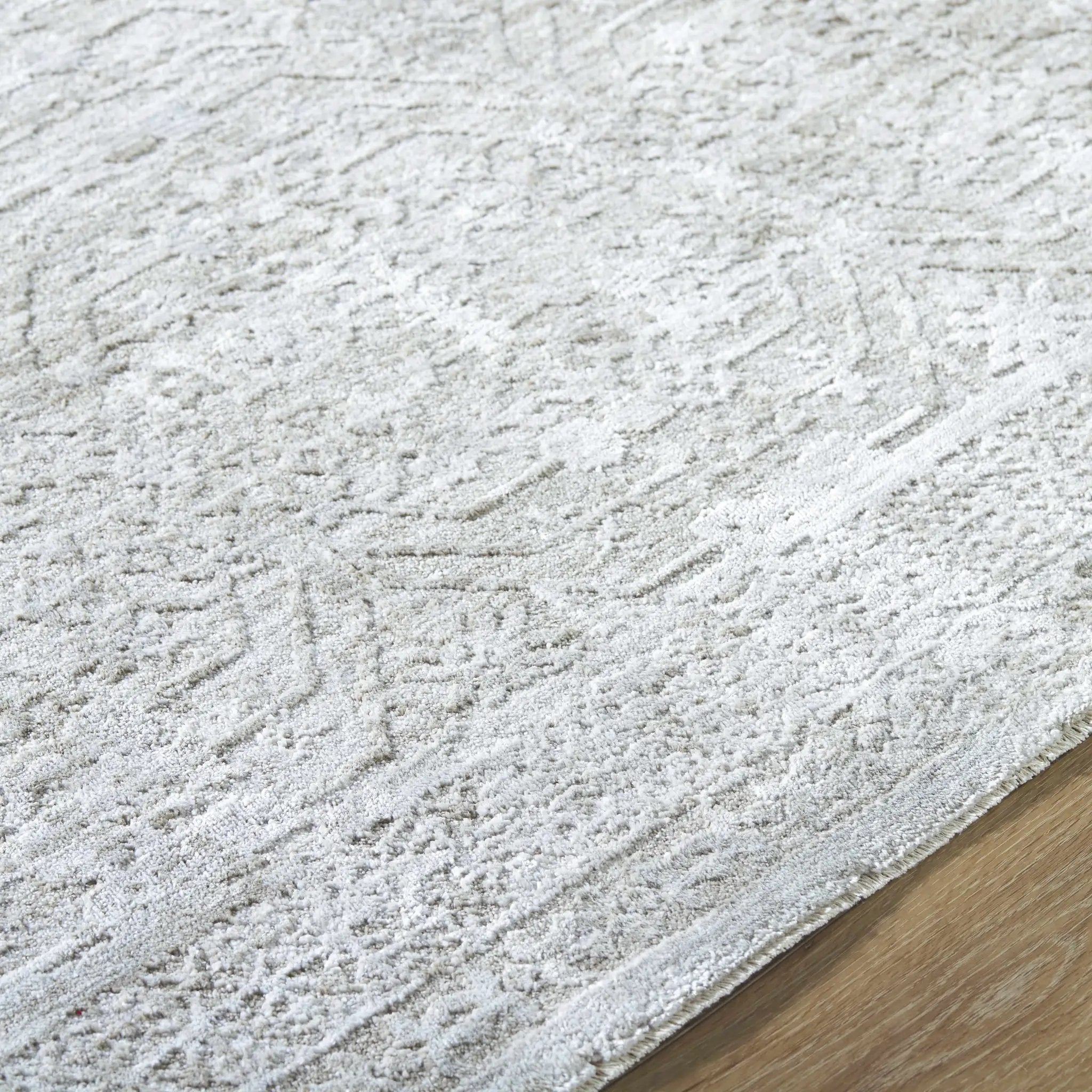 Anders Area Rug by Boutique Rugs