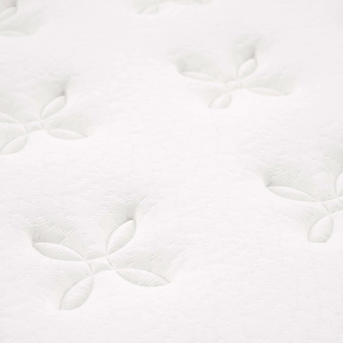 Jenna 14" Innerspring and Foam Mattress by Modway by HouseOfZazla