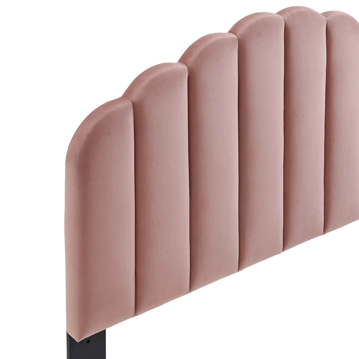 Veronique Performance Velvet Twin Headboard by Modway by HouseOfZazla