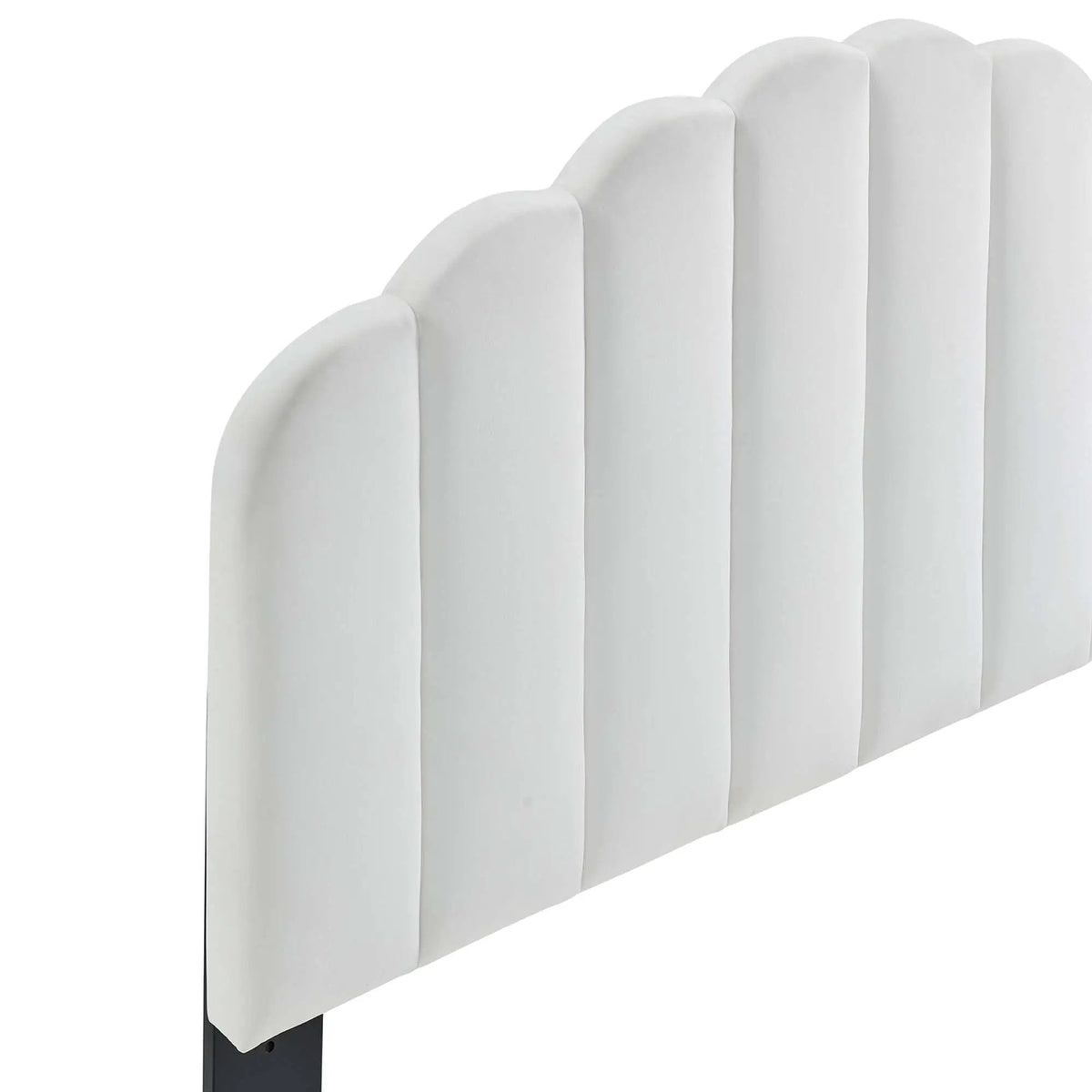Veronique Performance Velvet Twin Headboard by Modway by HouseOfZazla