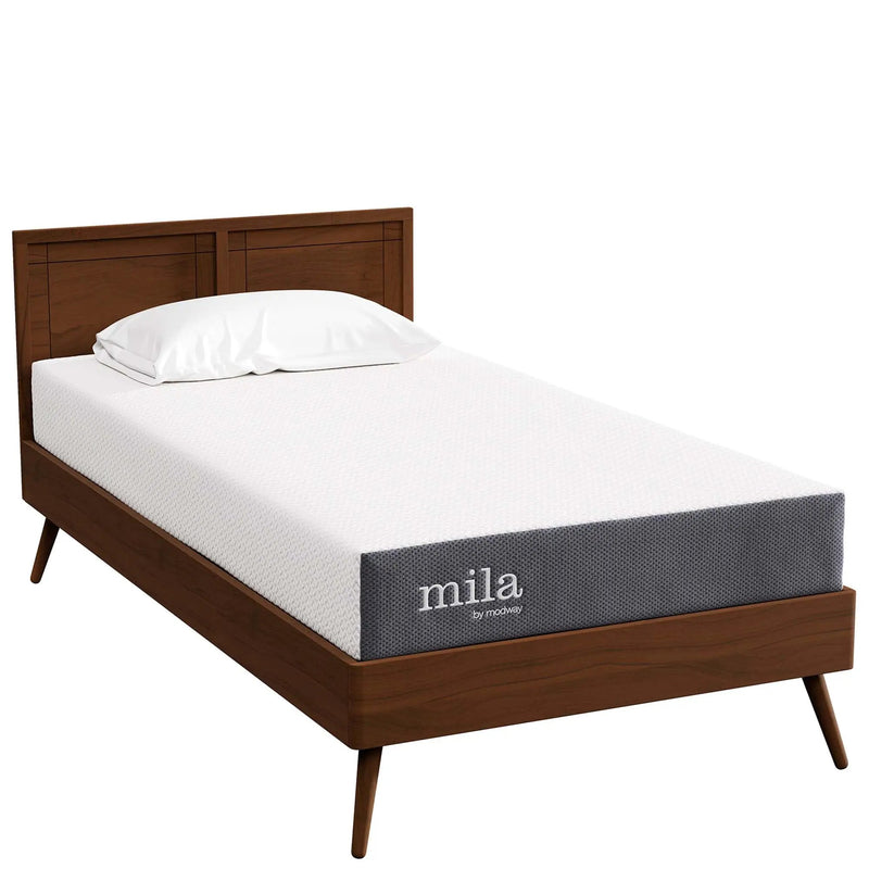 Mila 8" Mattress by Modway by HouseOfZazla