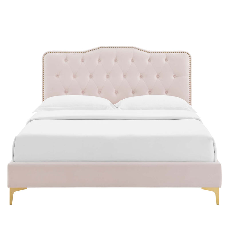 Amber Performance Velvet Queen Platform Bed by Modway - MOD-6775, photo 11 of 16