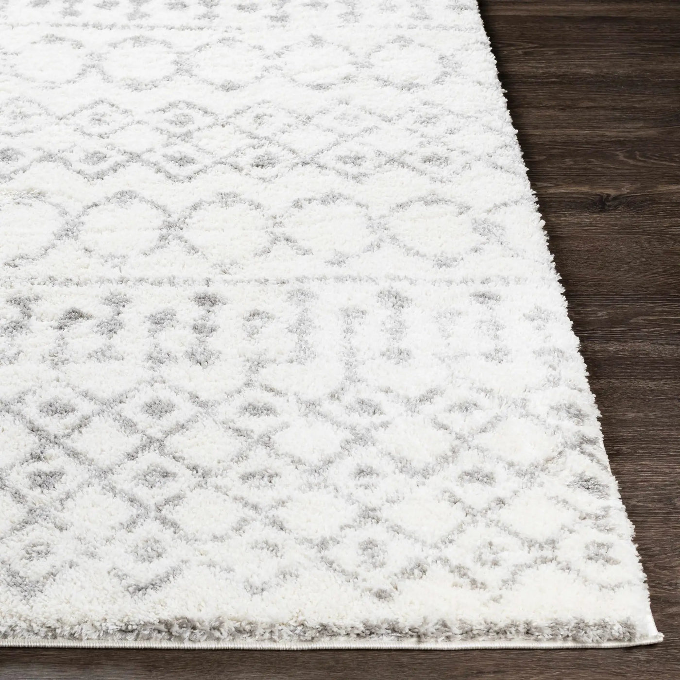 Monarch Area Rug by Boutique Rugs