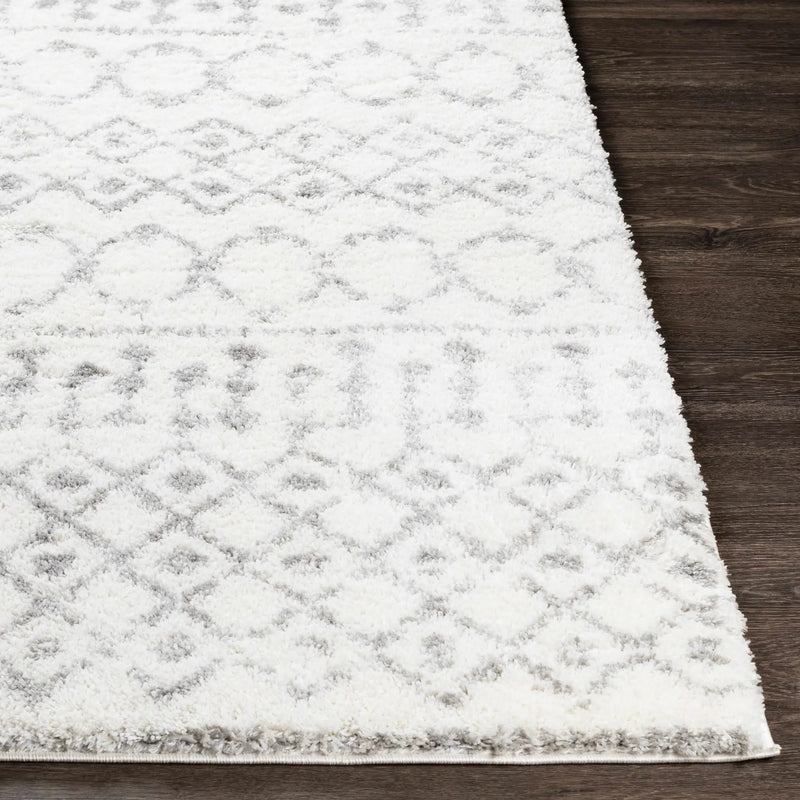 Monarch Area Rug by Boutique Rugs