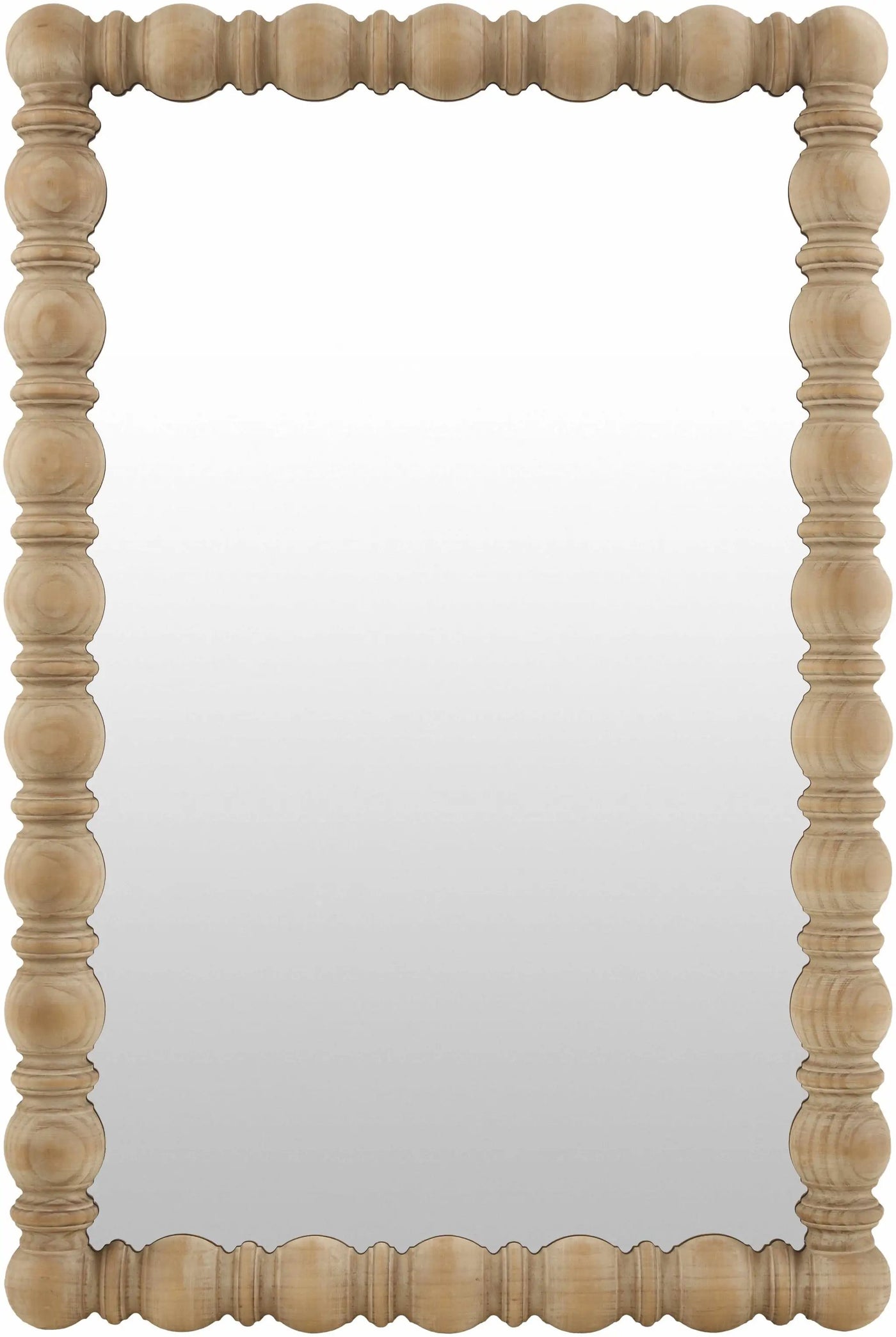 Mbocayaty Accent Mirror by Boutique Rugs