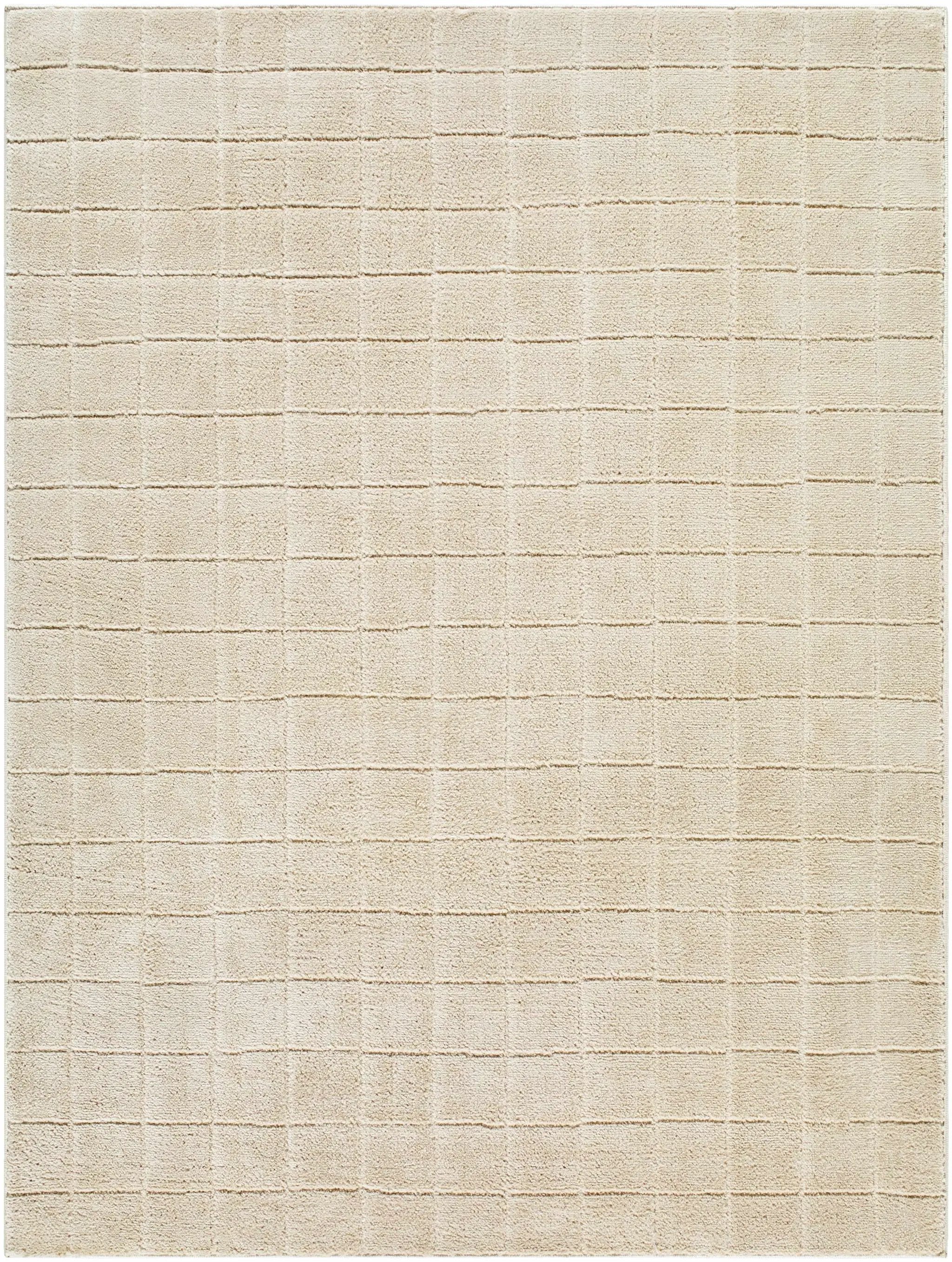 Cascade Checkered Beige Area Rug by Boutique Rugs