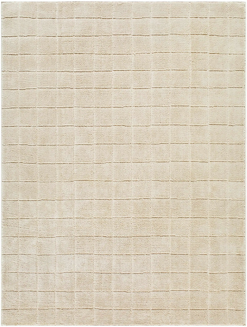 Cascade Checkered Beige Area Rug by Boutique Rugs