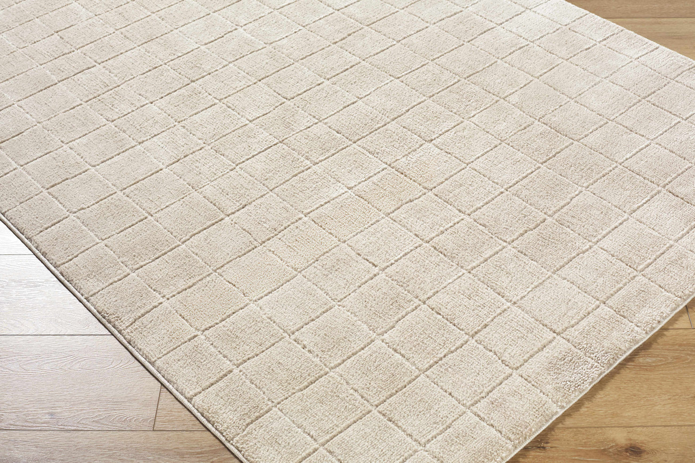 Cascade Checkered Beige Area Rug by Boutique Rugs