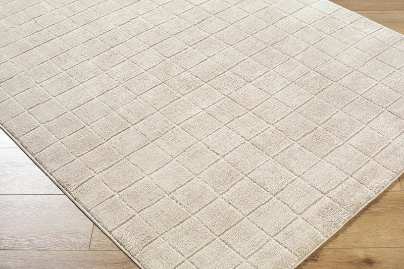 Cascade Checkered Beige Area Rug by Boutique Rugs