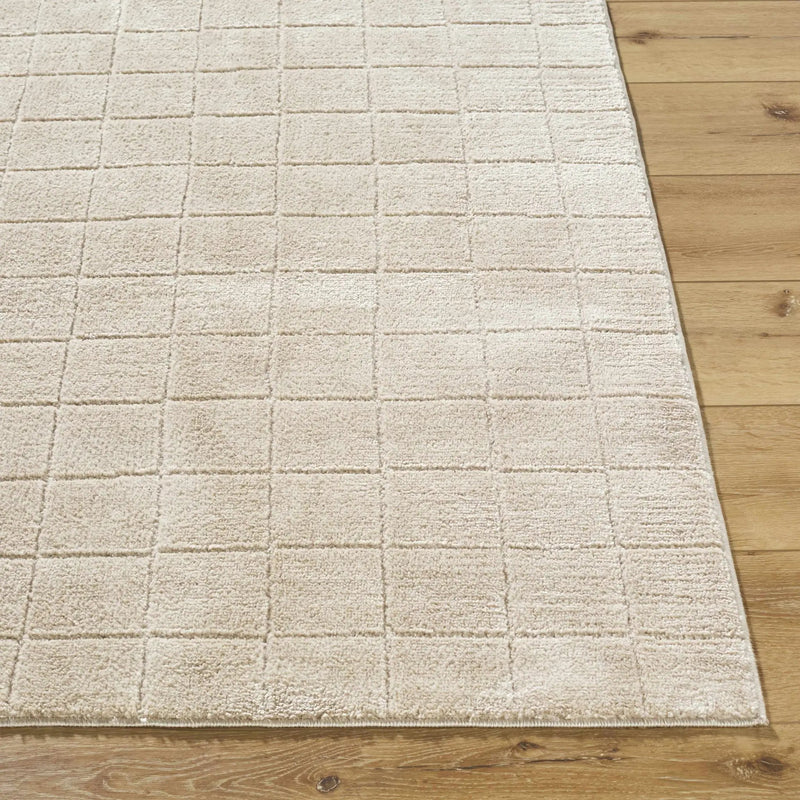 Cascade Checkered Beige Area Rug by Boutique Rugs