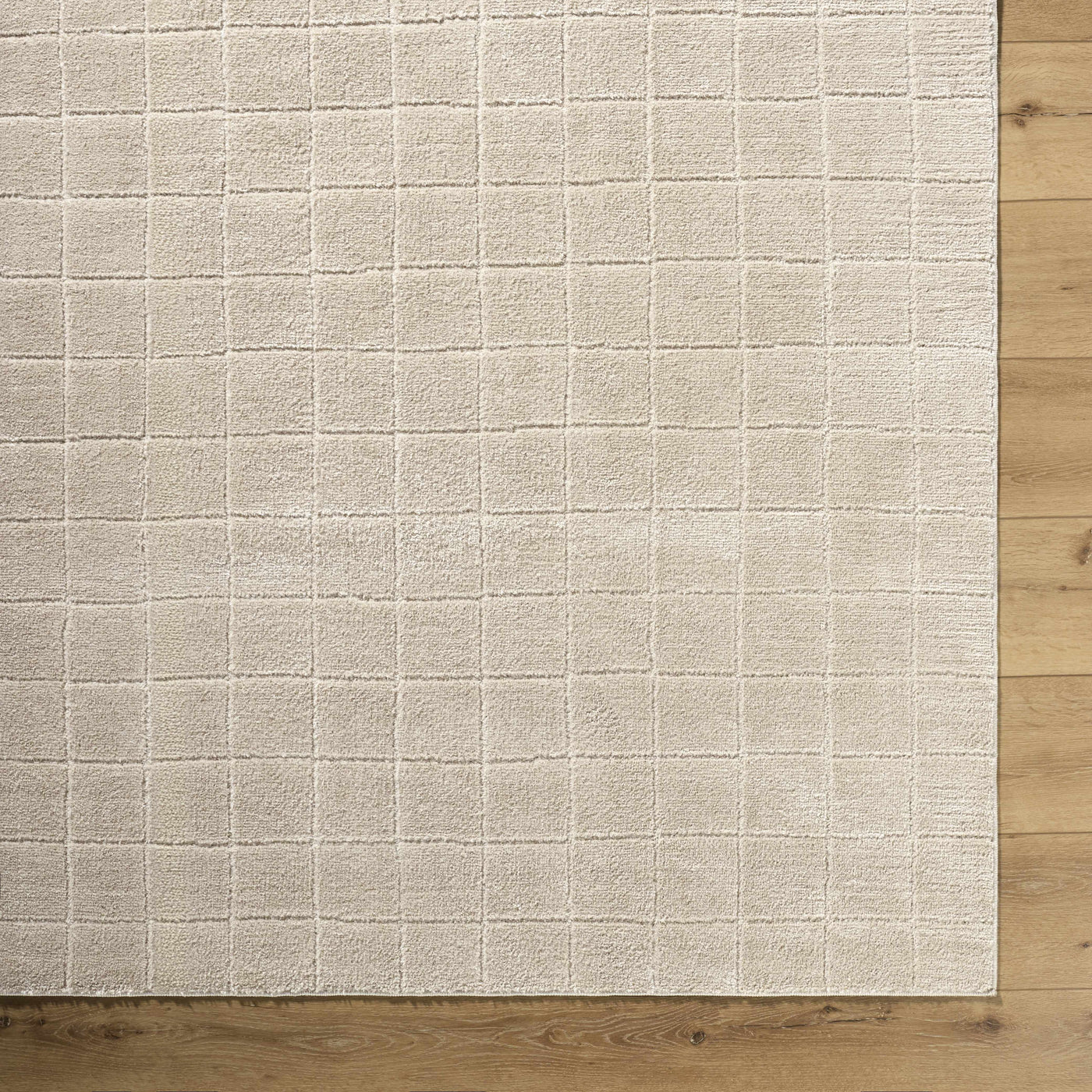 Cascade Checkered Beige Area Rug by Boutique Rugs