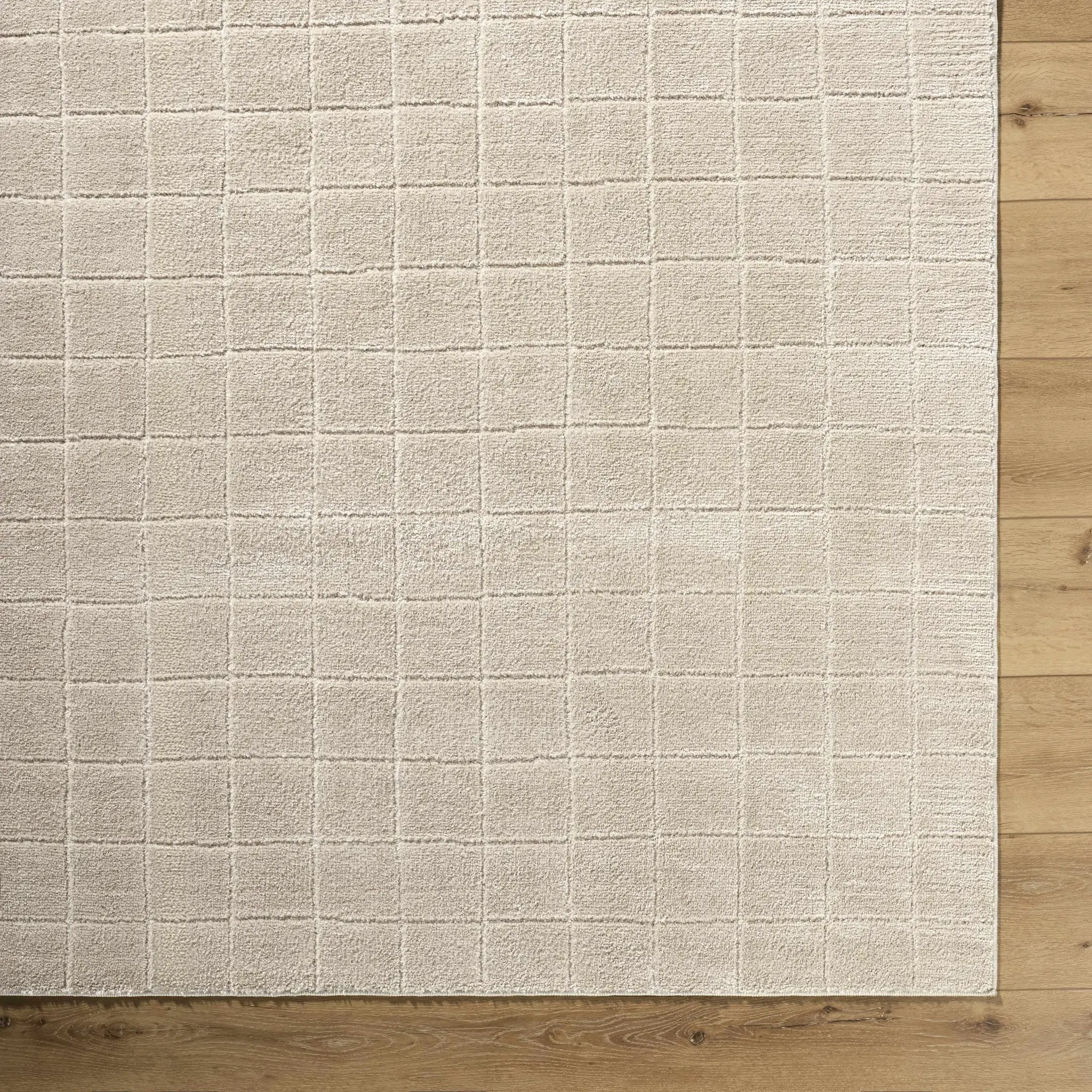 Cascade Checkered Beige Area Rug by Boutique Rugs