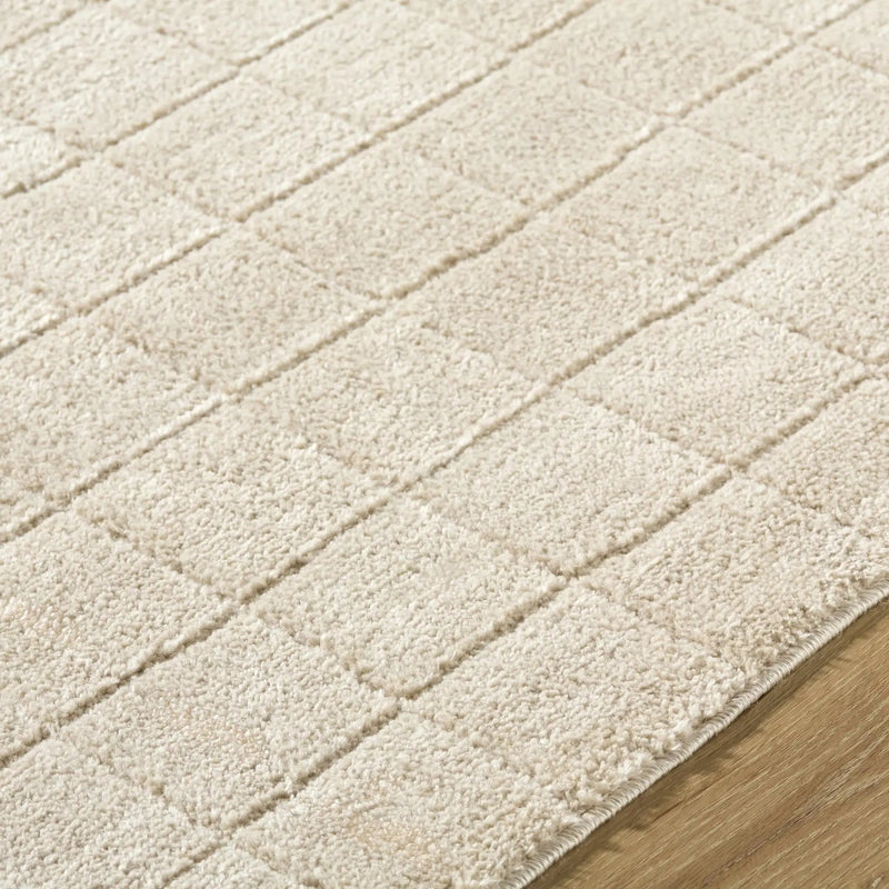 Cascade Checkered Beige Area Rug by Boutique Rugs