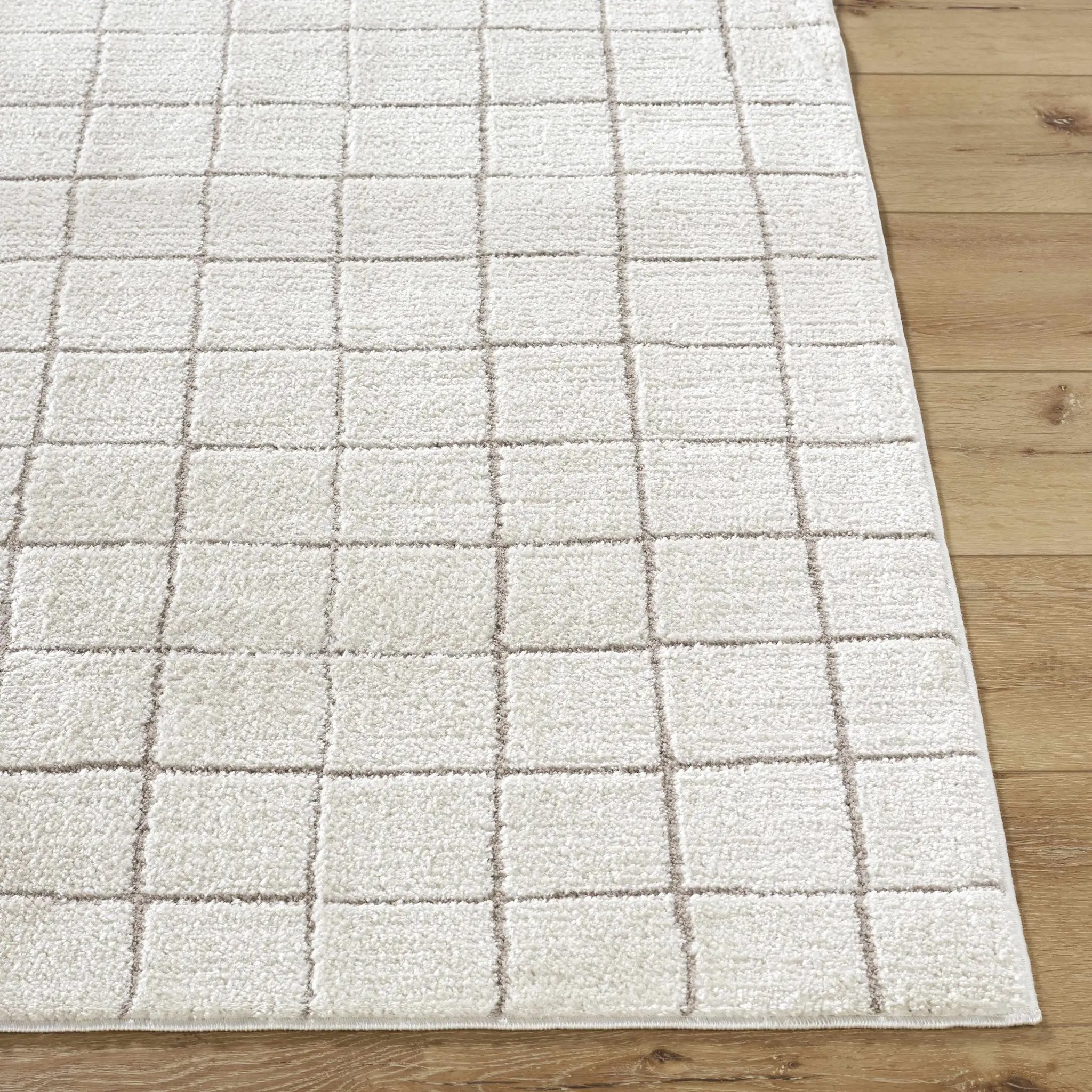 Cascade Checkered Ivory Area Rug by Boutique Rugs