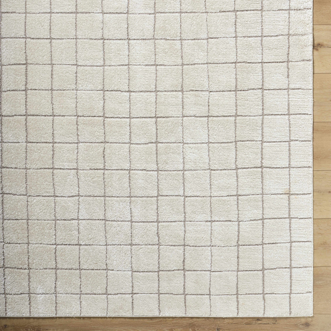 Cascade Checkered Ivory Area Rug by Boutique Rugs