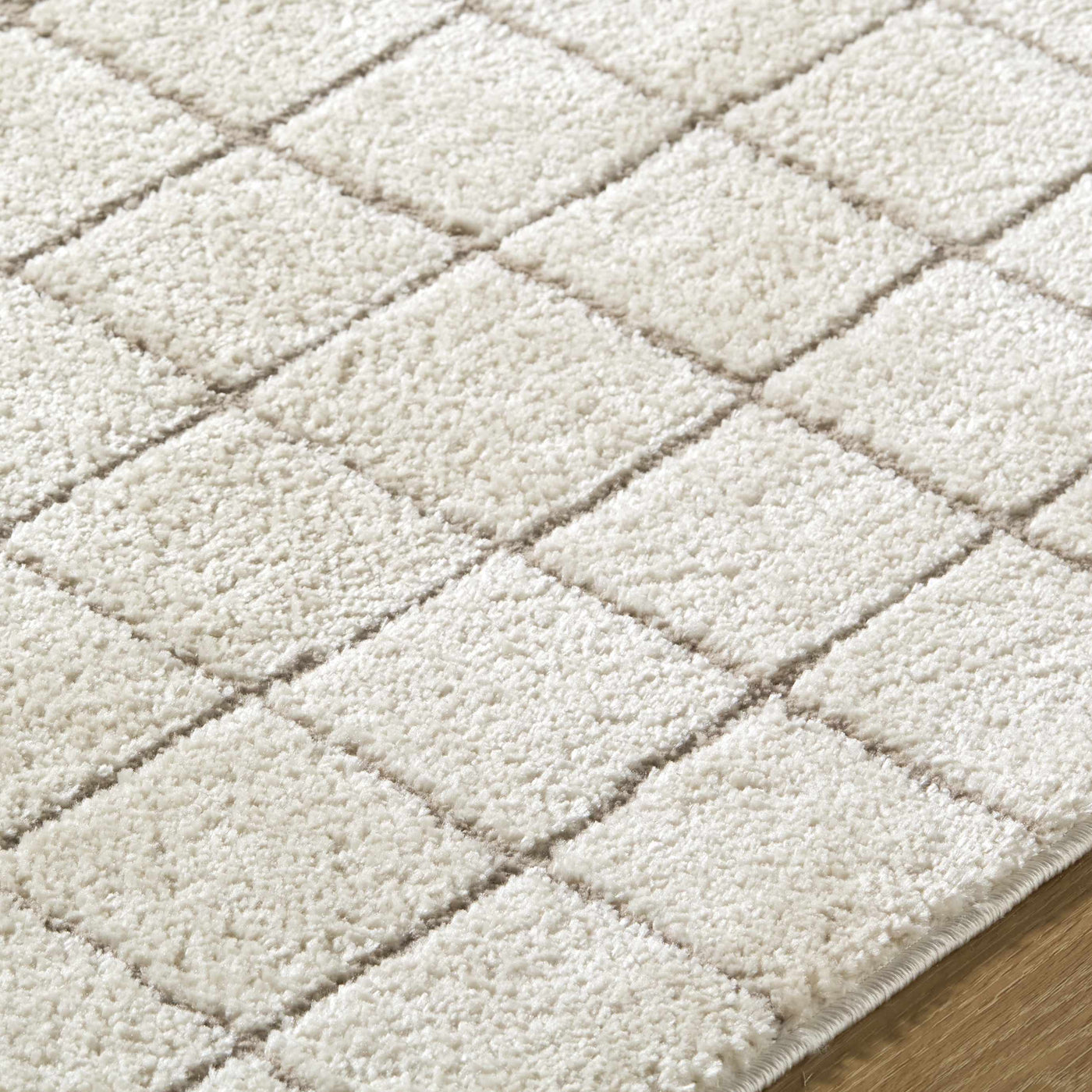 Cascade Checkered Ivory Area Rug by Boutique Rugs