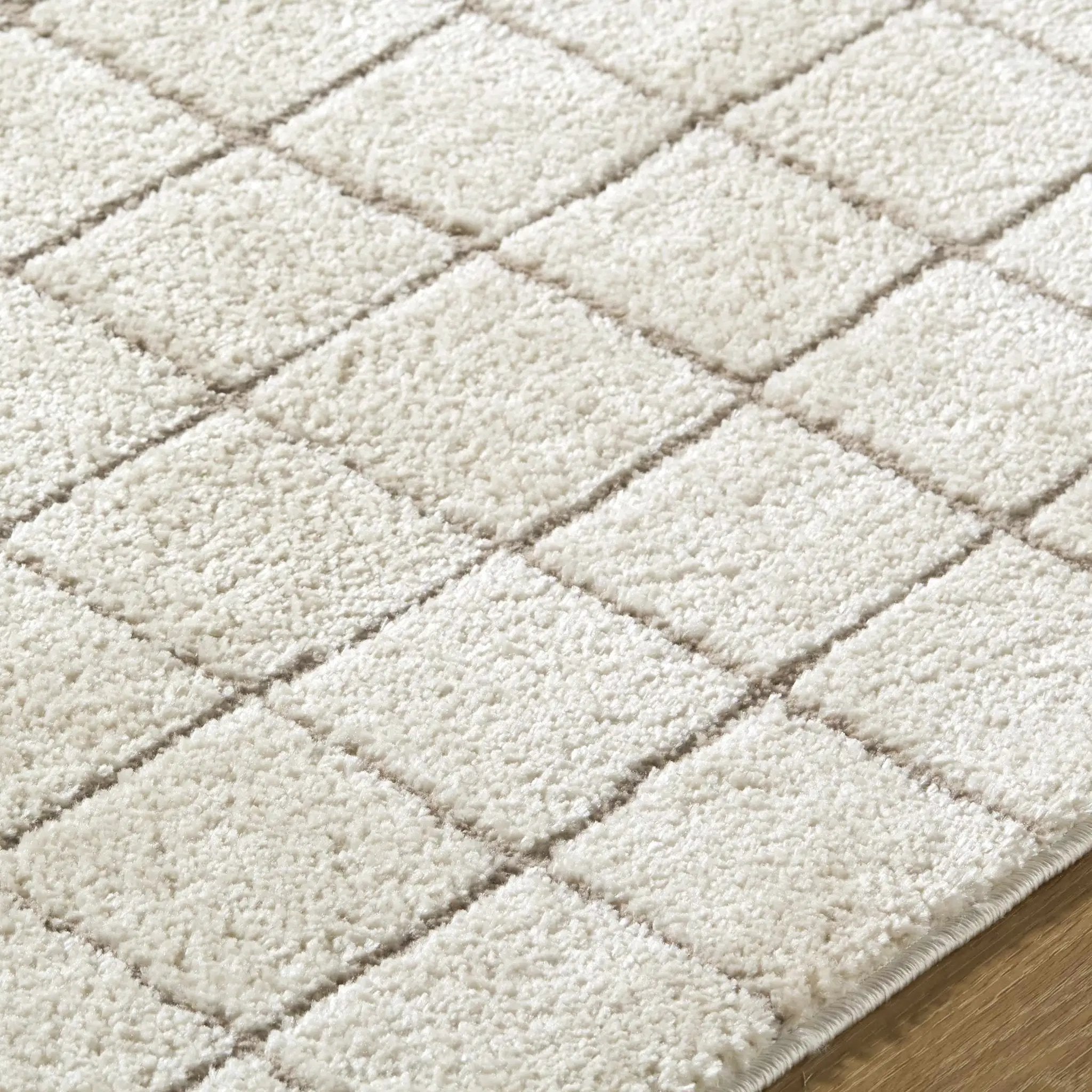 Cascade Checkered Ivory Area Rug by Boutique Rugs
