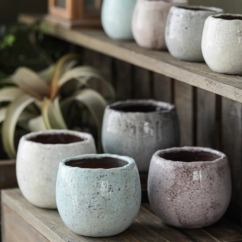 Crackle Glazed Succulent Pot Randomly Picked Set of 5 by RusticReach
