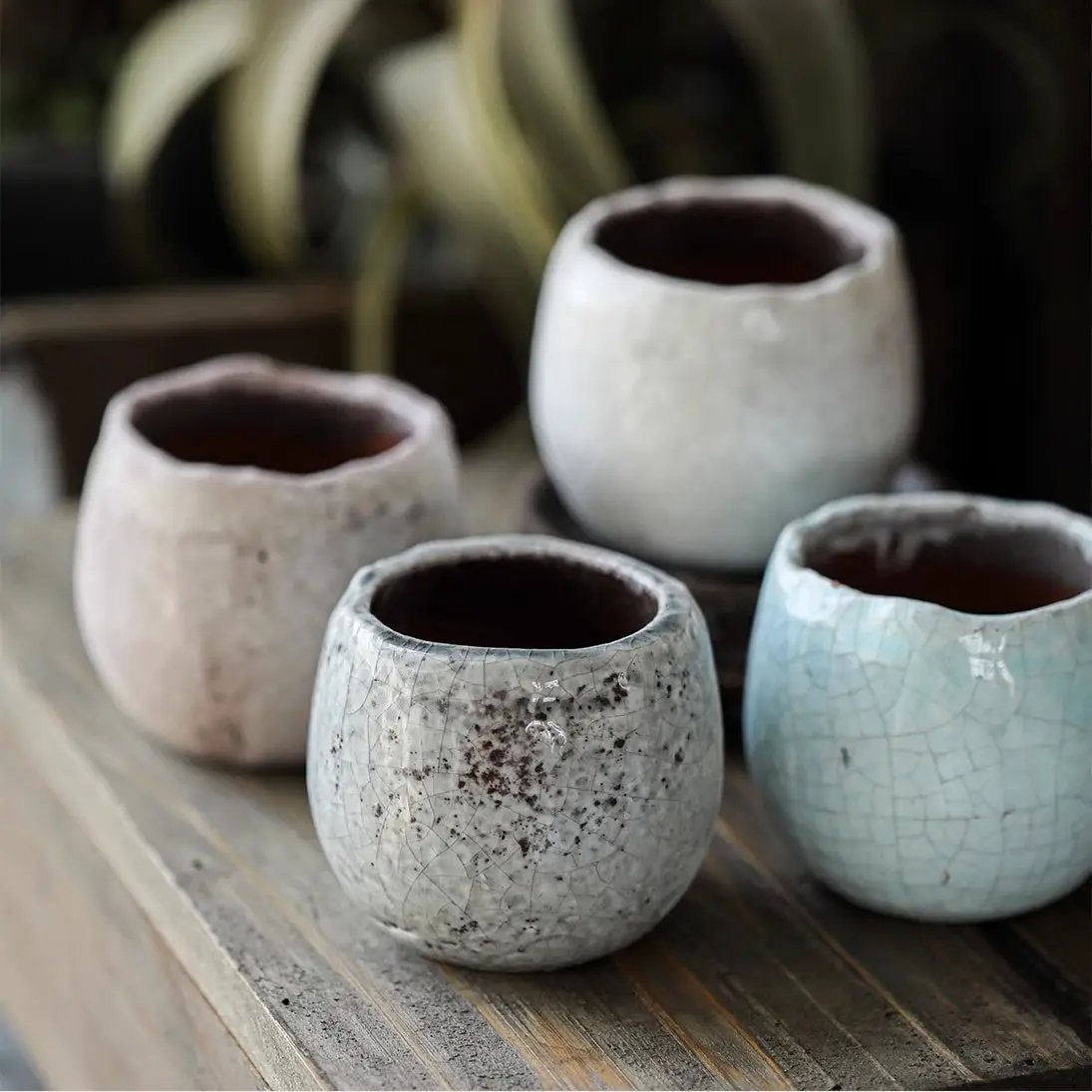 Crackle Glazed Succulent Pot Randomly Picked Set of 5 by RusticReach