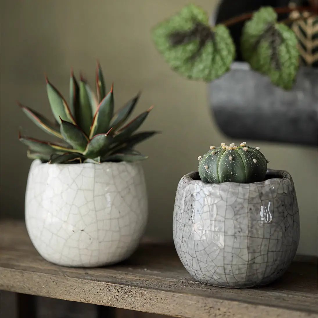 Crackle Glazed Succulent Pot Randomly Picked Set of 5 by RusticReach
