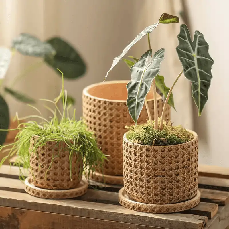 Faux Woven Grid Cement Pot by RusticReach