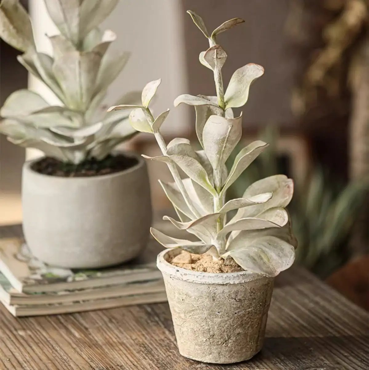 Realistic Green Plant in Ceramic Pot by RusticReach