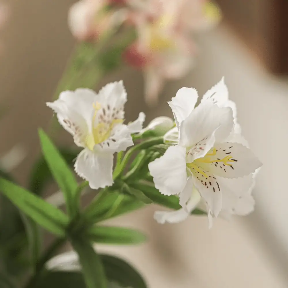 Artificial Peruvian Lily Stem 29.5" Tall by RusticReach
