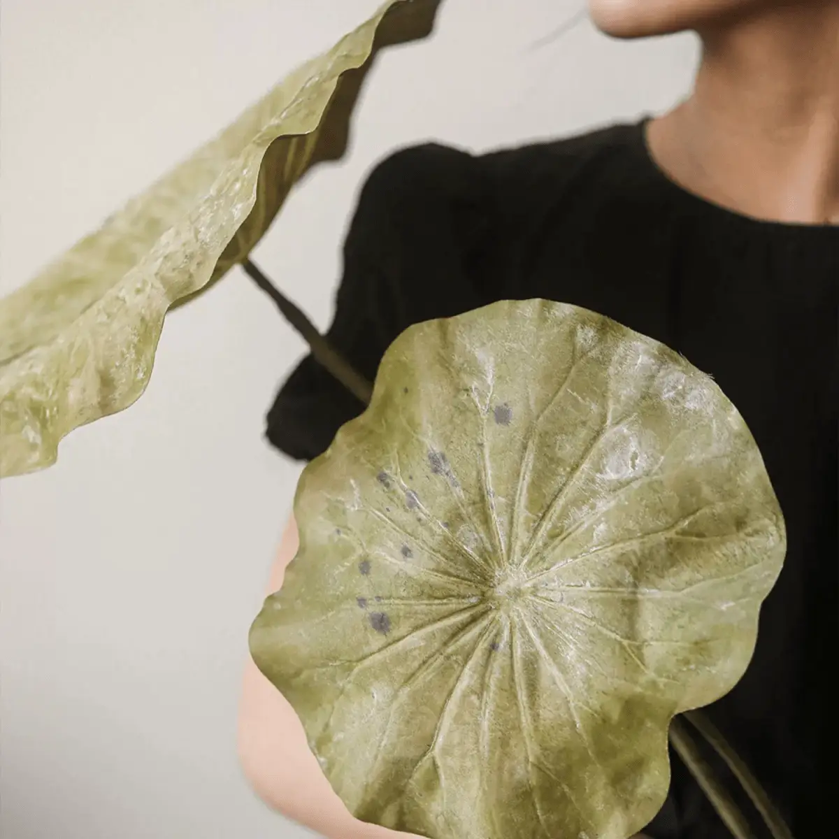 Artificial Rustic Lotus Stem by RusticReach