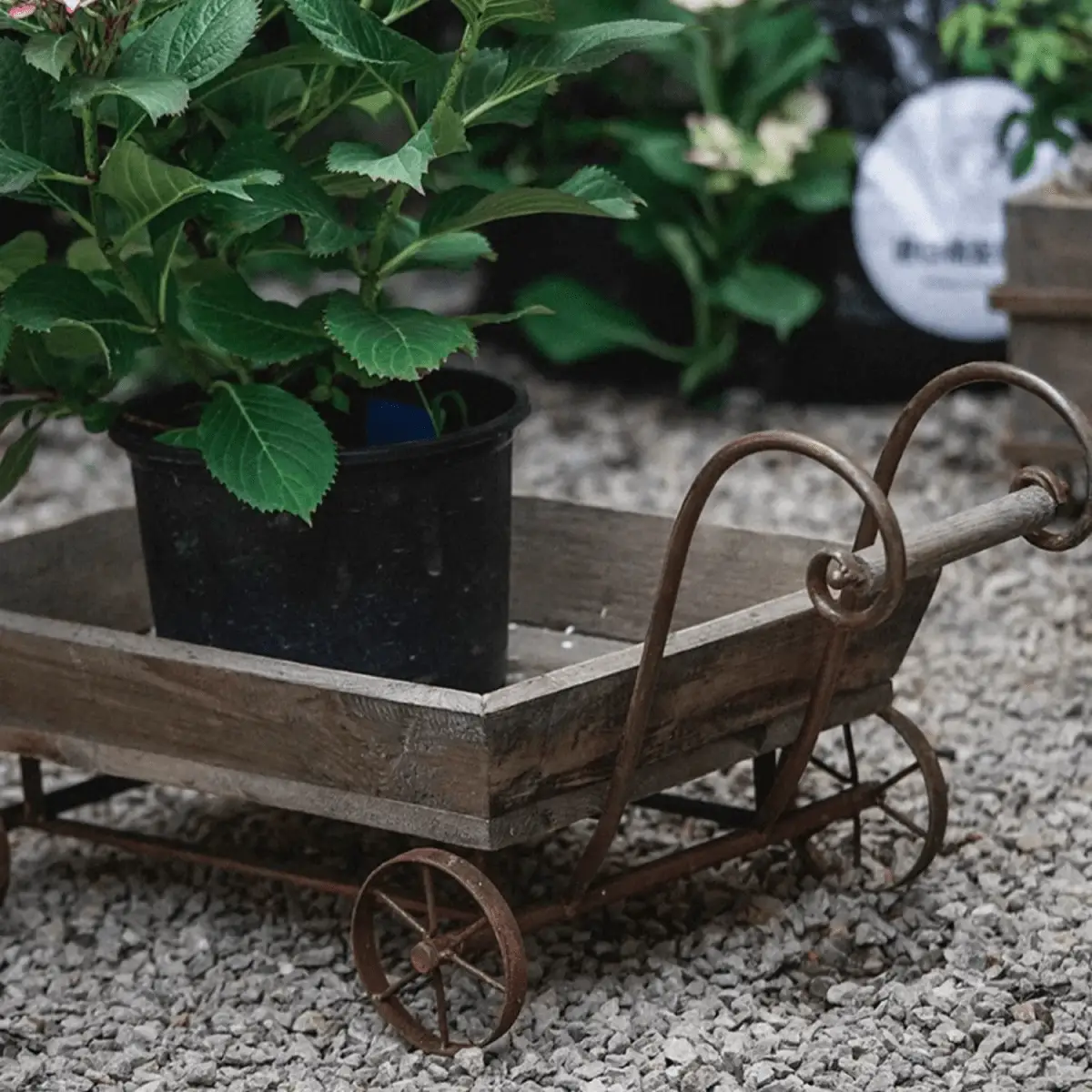 Small Decorative Wooden Wagon Flower Cart by RusticReach