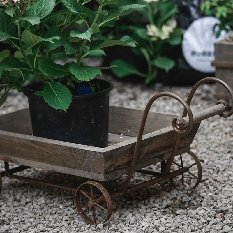 Small Decorative Wooden Wagon Flower Cart by RusticReach