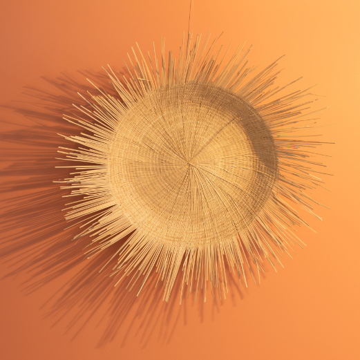 Natural Sunburst Plate Wall Hanging - 30", photo 2 of 5
