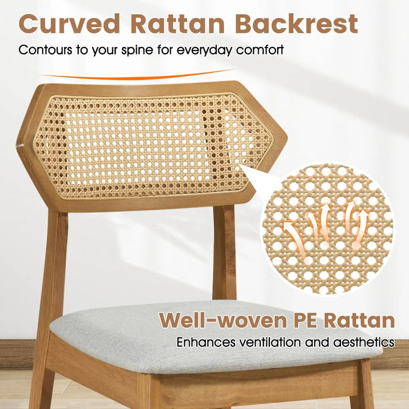 Mid Century Rattan Dining Chairs Set of 2 with Wood Frame by DirectDeals