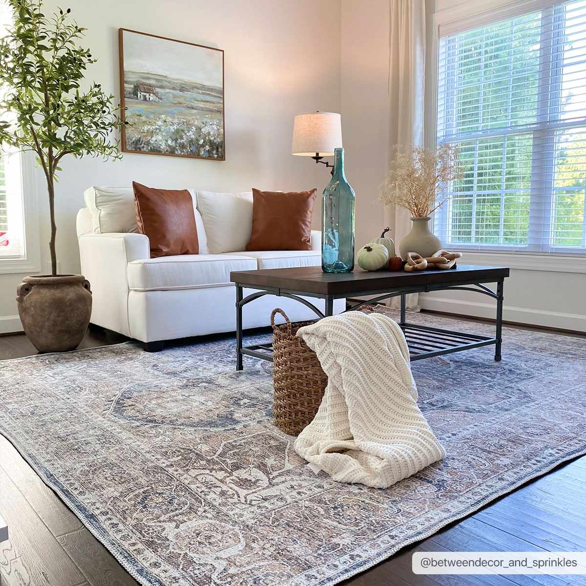 Mignon Washable Area Rug by Boutique Rugs