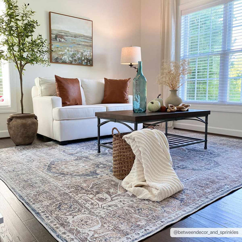 Mignon Washable Area Rug by Boutique Rugs