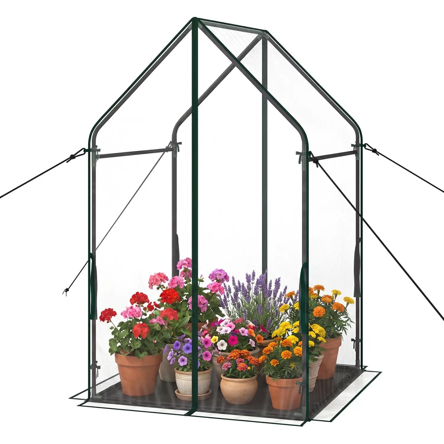 Mini Green House Metal Frame with Waterproof Bottom Mat and Wind Ropes by DirectDeals