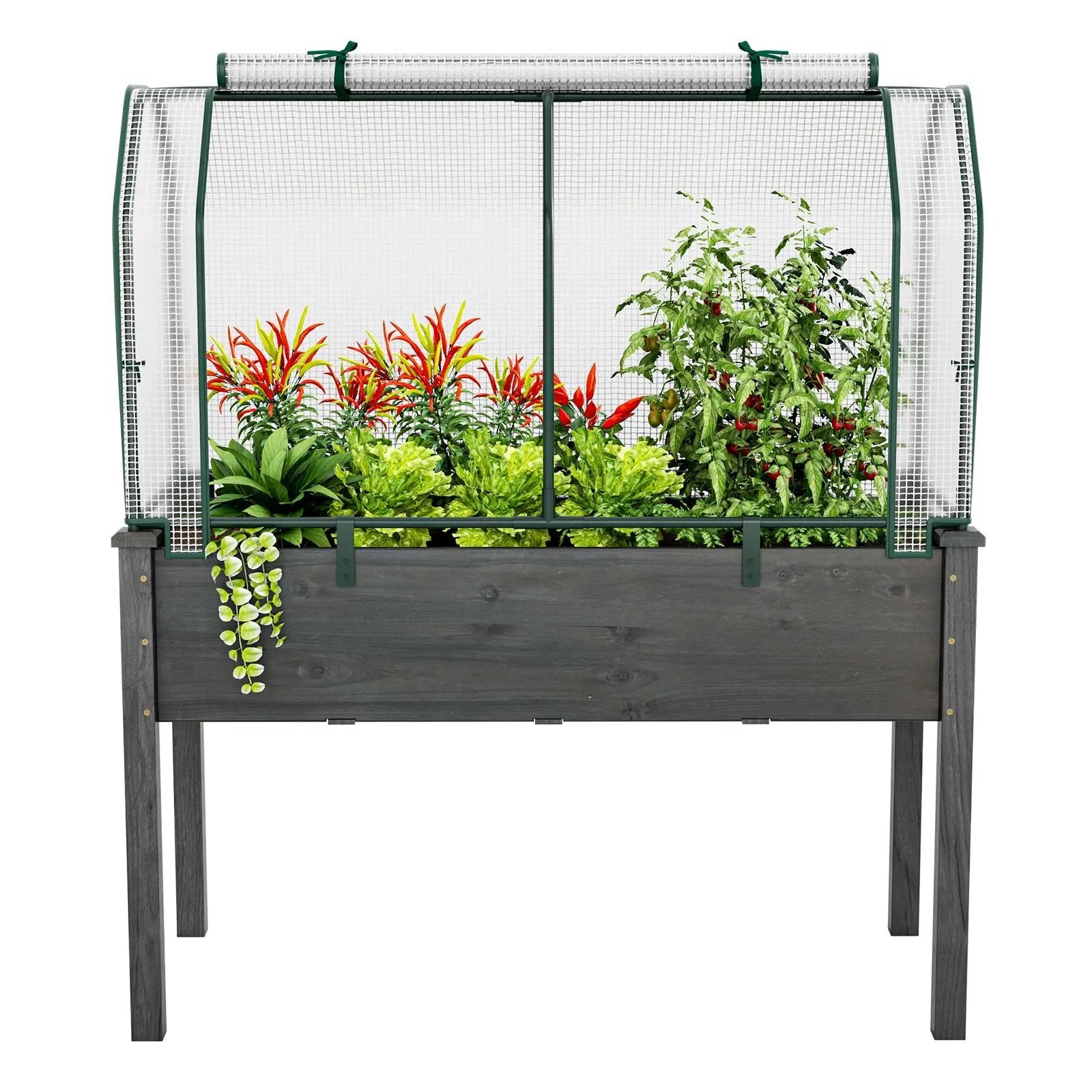 47.5 x 21.5 x 24 Inch Mini Greenhouse with Roll-up Zipper Door by DirectDeals