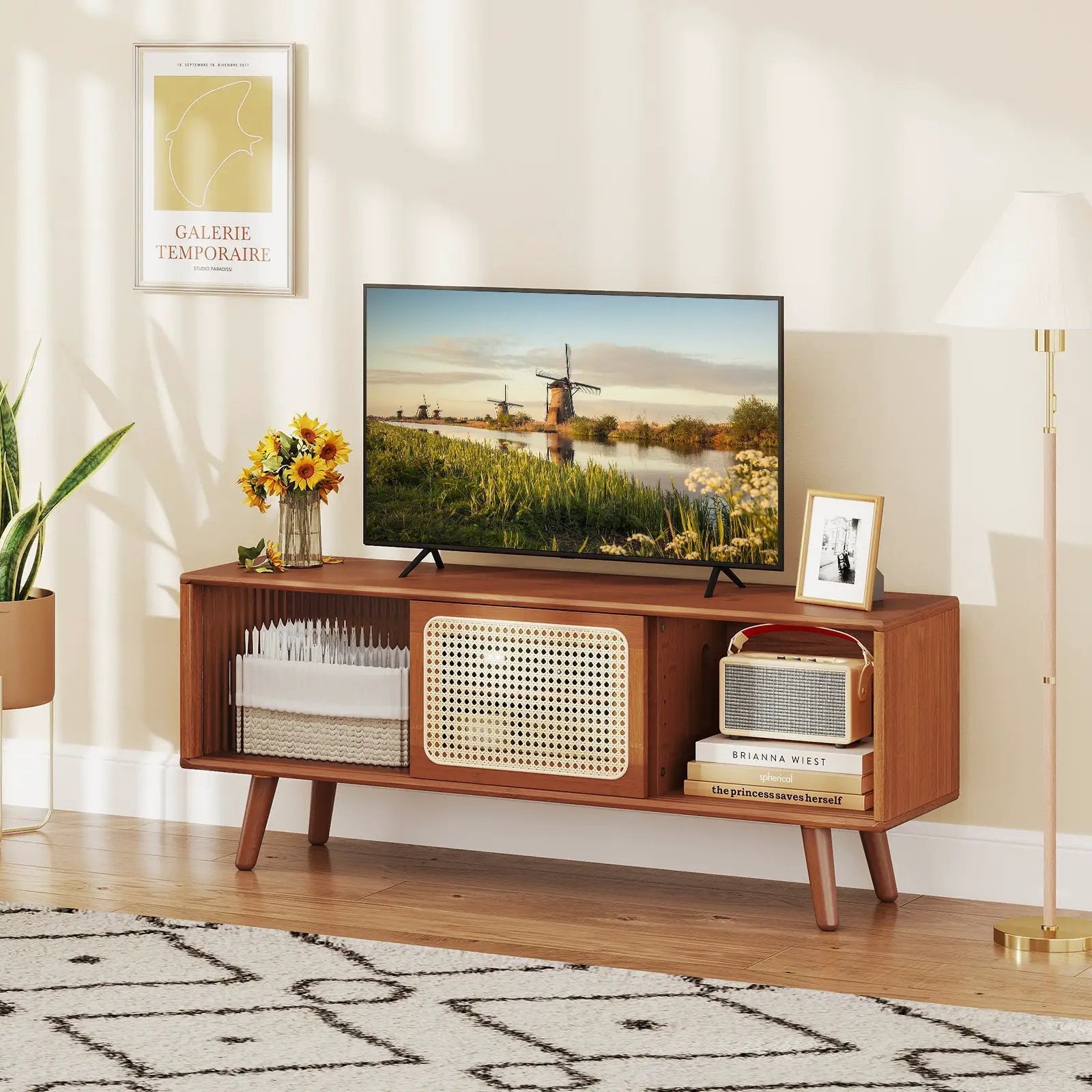 Modern TV Stand with Rattan Glass Sliding Doors by DirectDeals