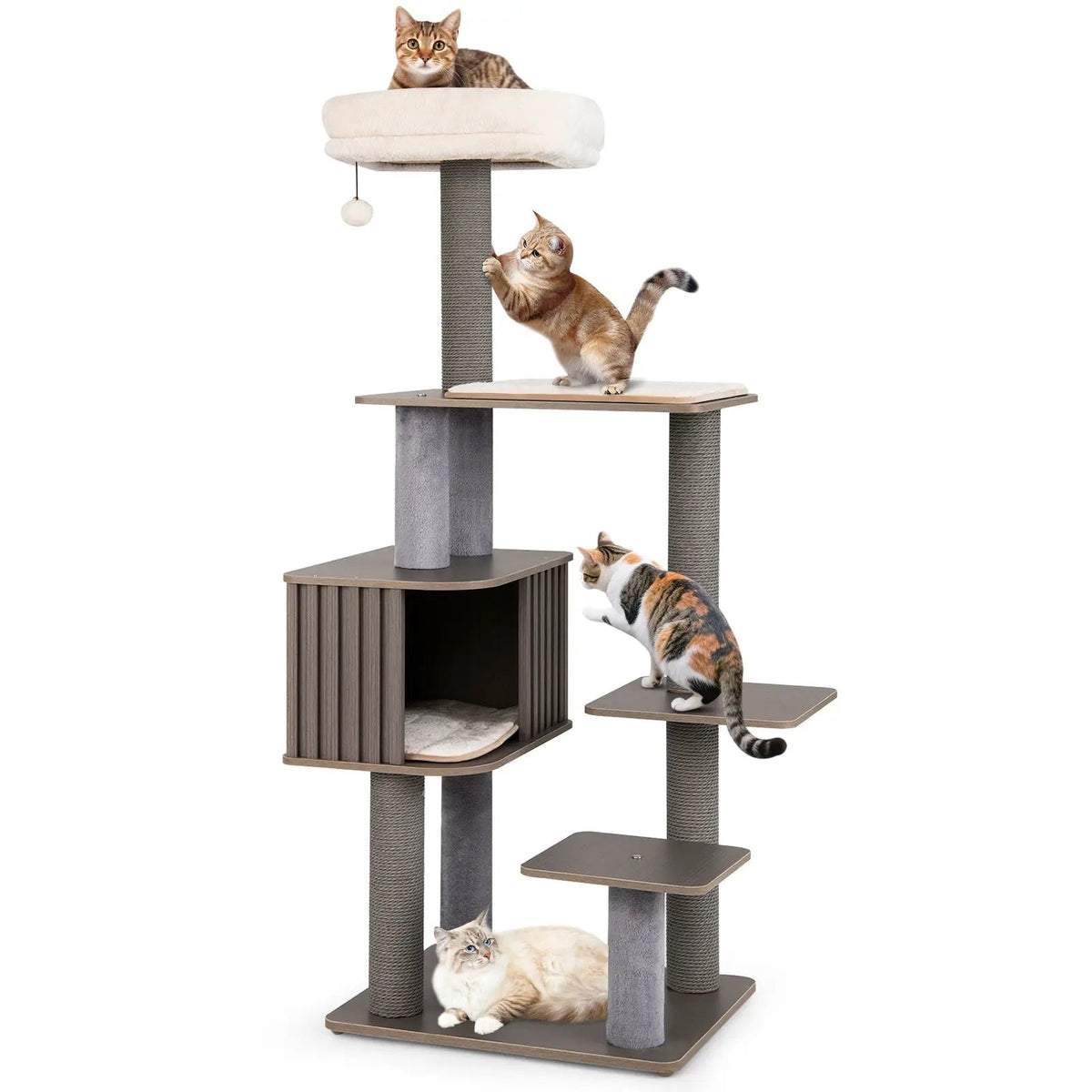 Multi-level Cat Tree for Indoor Cat 59.5 inch Tall Cat Tower with Cushion Top Perch by DirectDeals