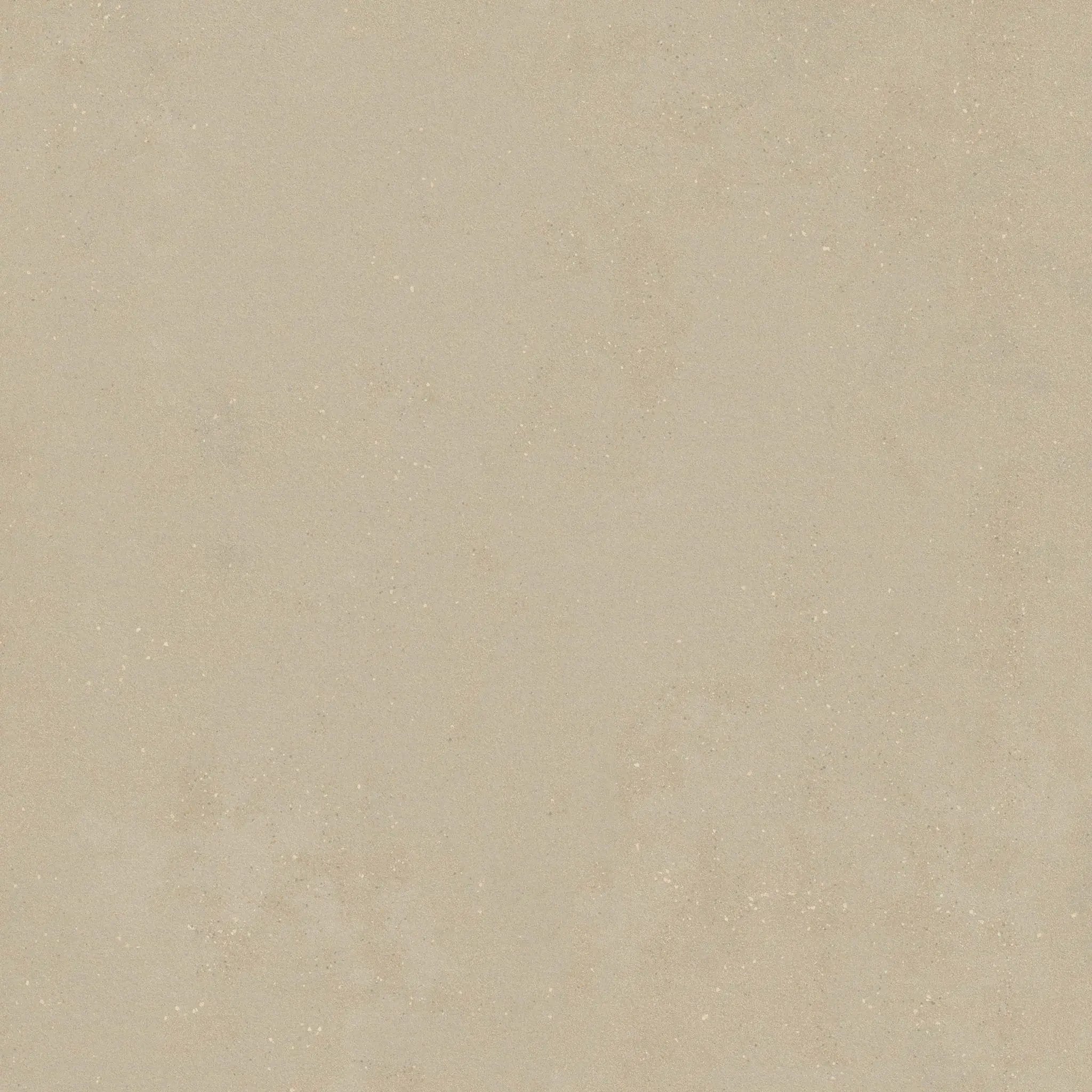 Architecta Greige Matte Porcelain Tiles 48x48 close up