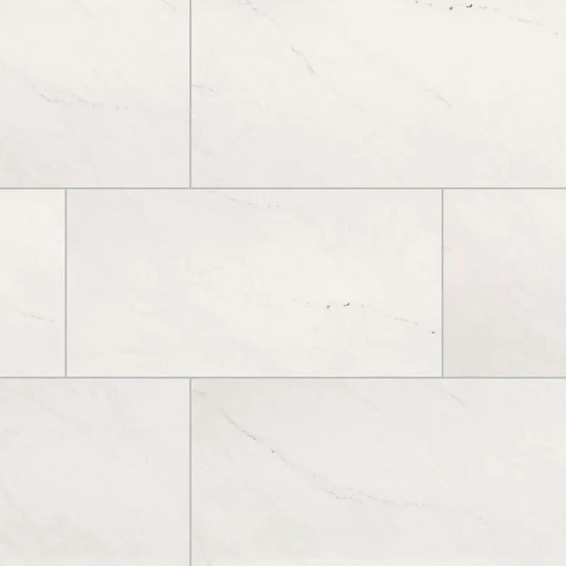 Aria Ice Polished Marble Look Porcelain Tiles 24x48 close up